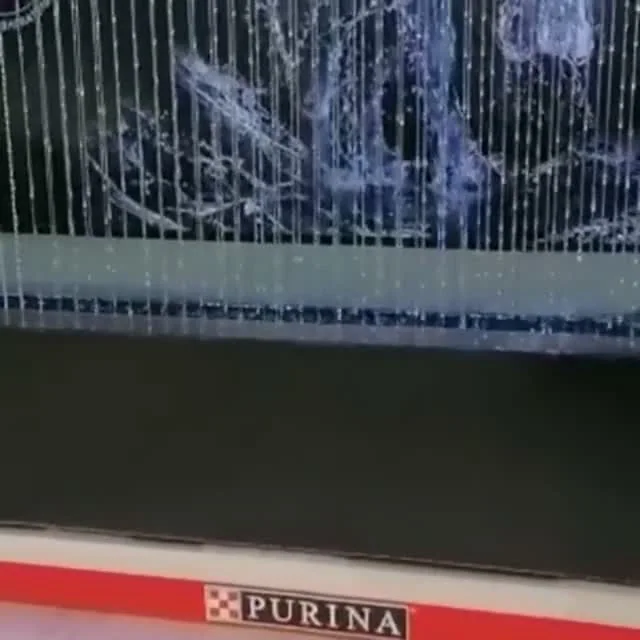Глицерин на полимерной струне: движение капель